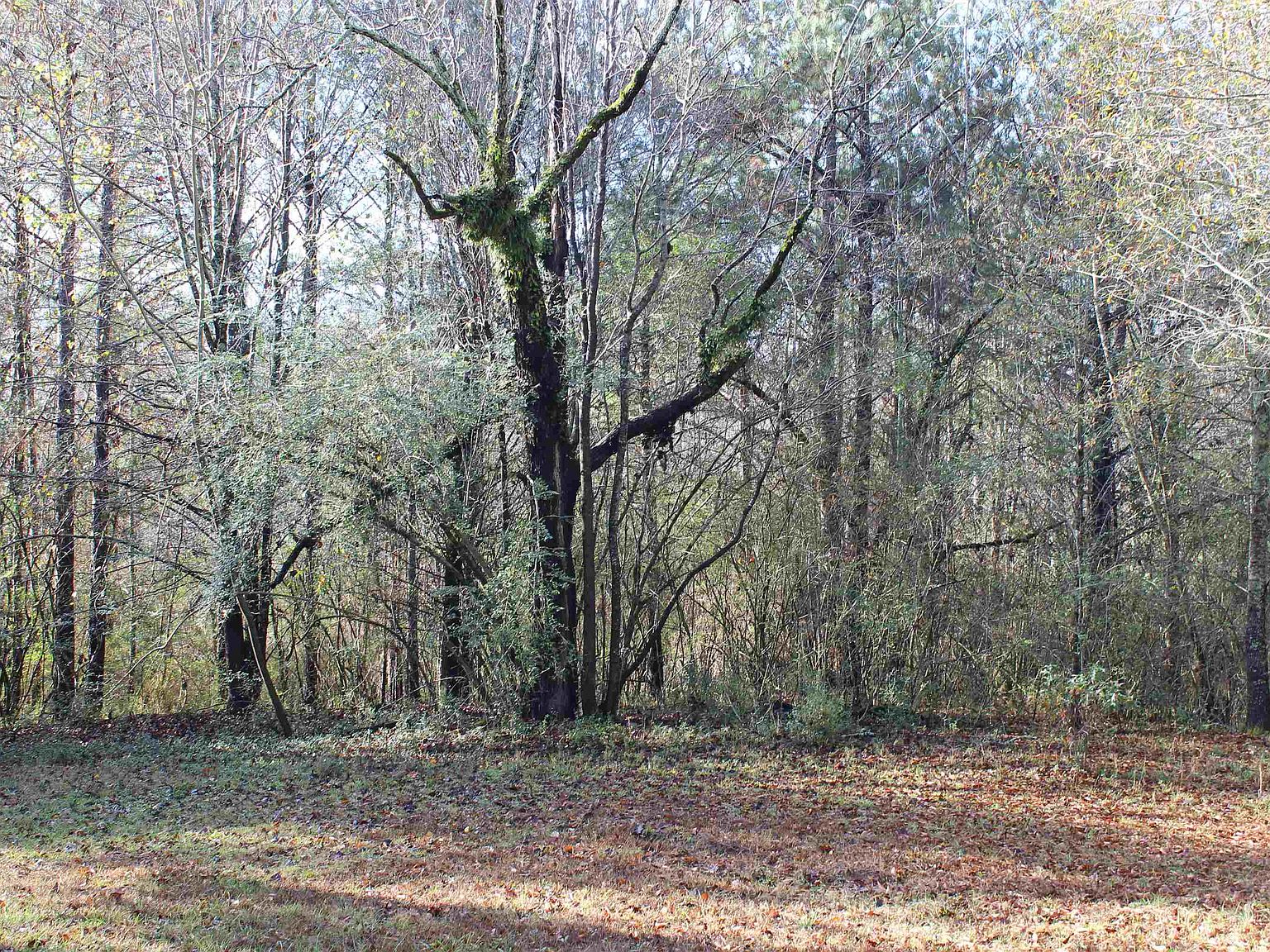 Addison Alm 0 County Road 46, Addison, AL 35540 | Zillow