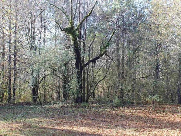 0 County Road 46, Addison, AL 35540