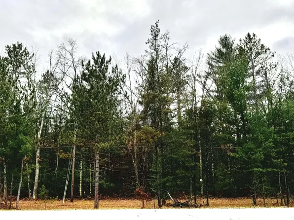 10 V L Us 10, Baldwin, MI 49304