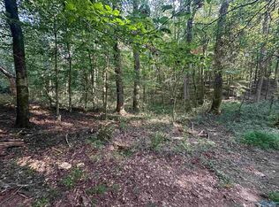 X Winding Brook Ln, Guntersville, AL 35976