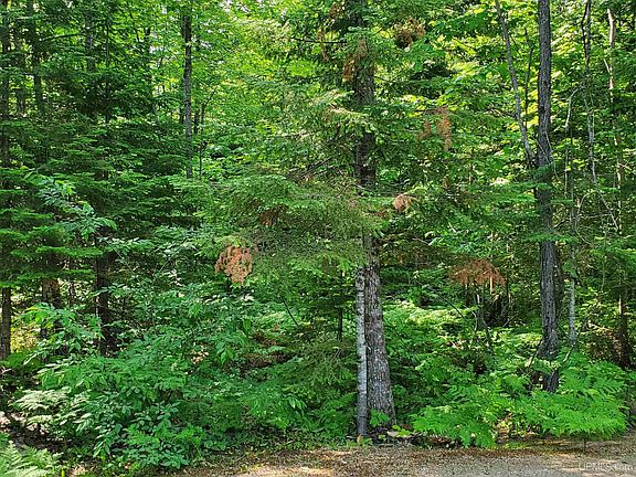3rd image of 983 County Road 480