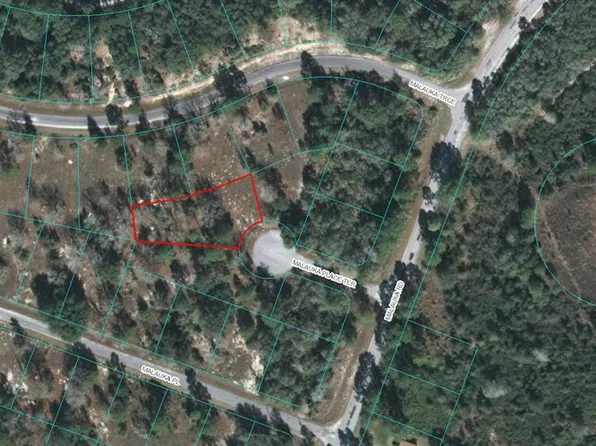 0 Malauka Place Ter #30, Ocklawaha, FL 32179