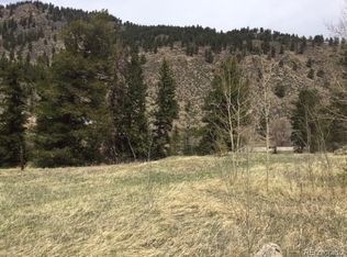 145 N Fork Rd, Bailey, CO 80448