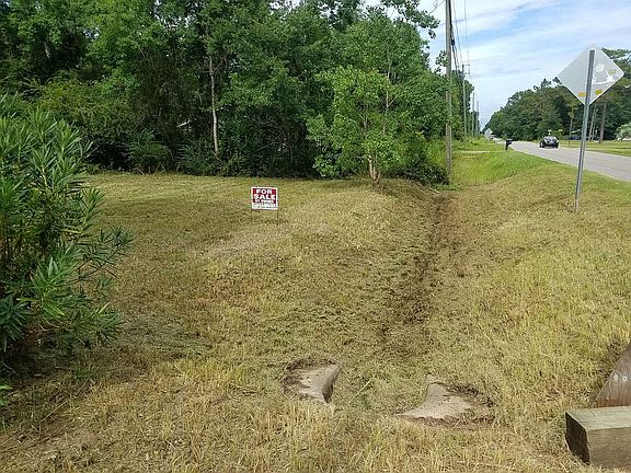 View from Driveway July 2019