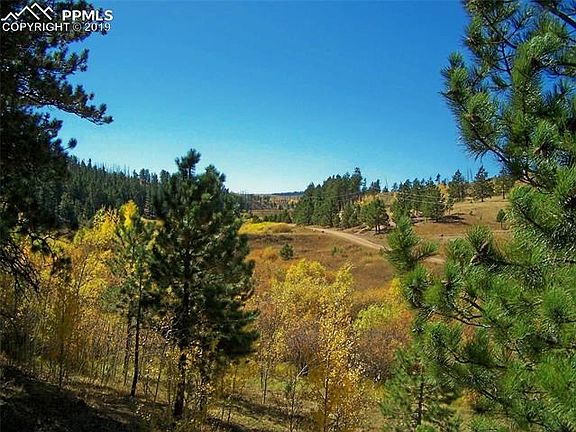 View from Lot 25 looking over Lot 26. Year Round Turkey Creek runs through the front of the property