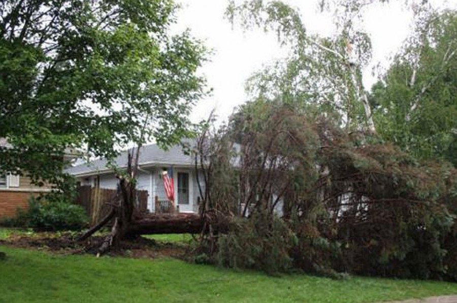 2nd image of 1132 8th Ave S