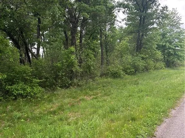 0 Levis Creek Road, Black River Falls, WI 54615