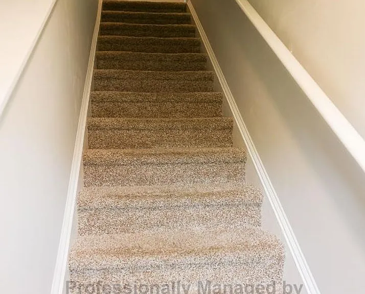 433 Ginger Dr — Photo 4
