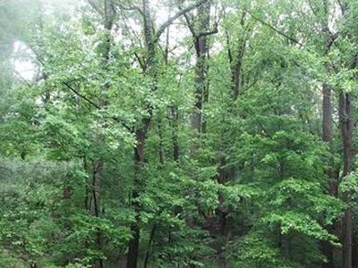 18 Tamarack Ln #A, Pomona, NY, 10970