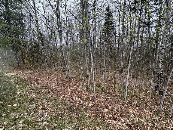 4th image of Lot 23 N Dixmont Road