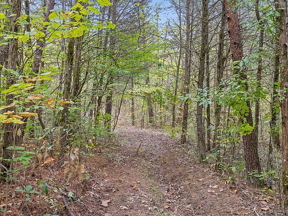 5th image of 9 Shoal Creek Rd Lot 9