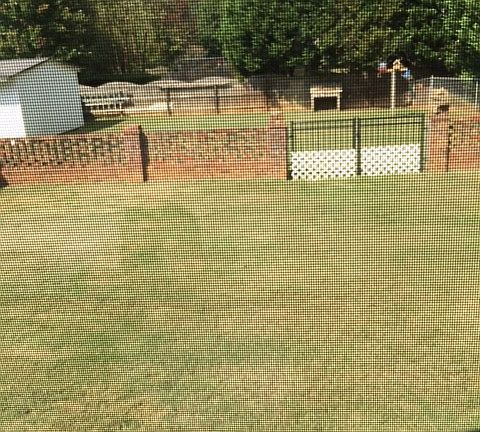 Backyard - Sunroom view