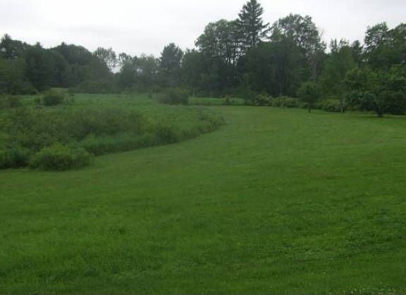 View from the deck