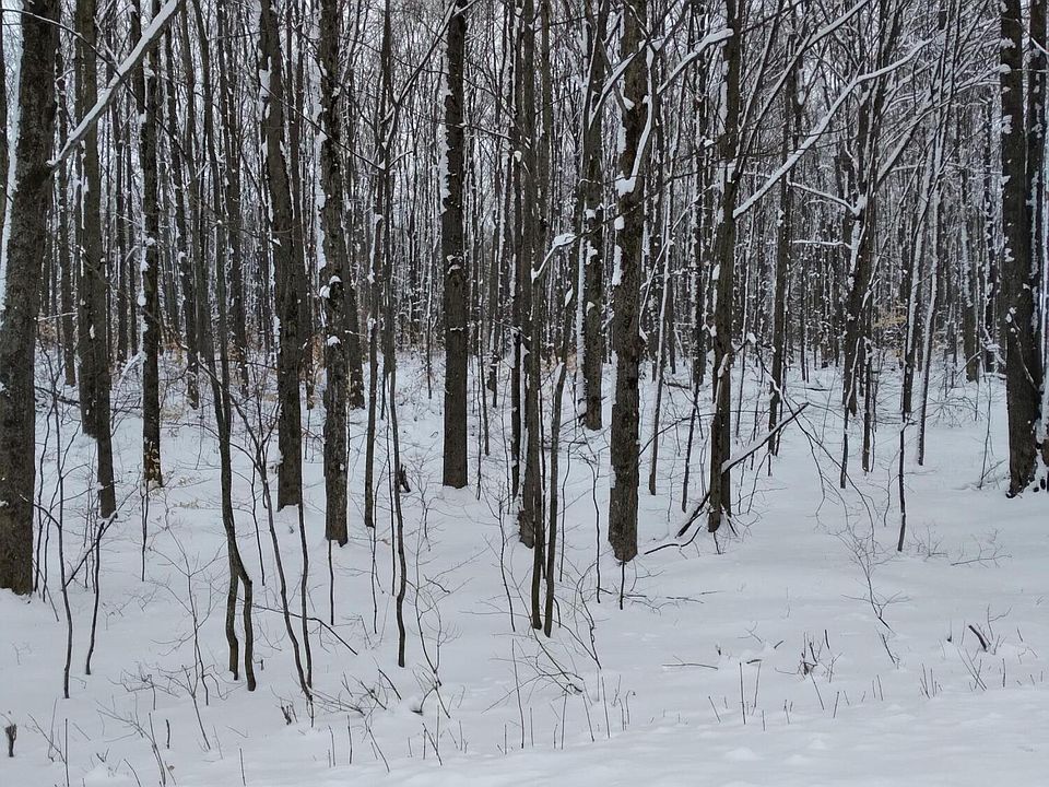 1st image of Acacia Dr