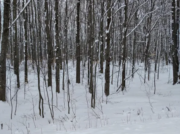 Acacia Dr, Mancelona, MI 49659