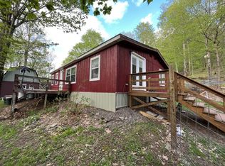 312 Curtis Ln, Hamden, NY 13782
