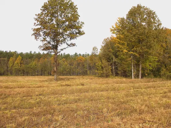 1761 County Road 126, Walnut, MS 38683