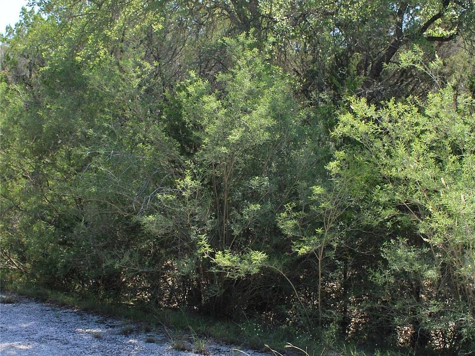 2nd image of 8207 Cedar Glen Cv