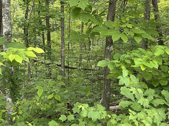 5th image of 52 Emerald Way Lot 5A-2