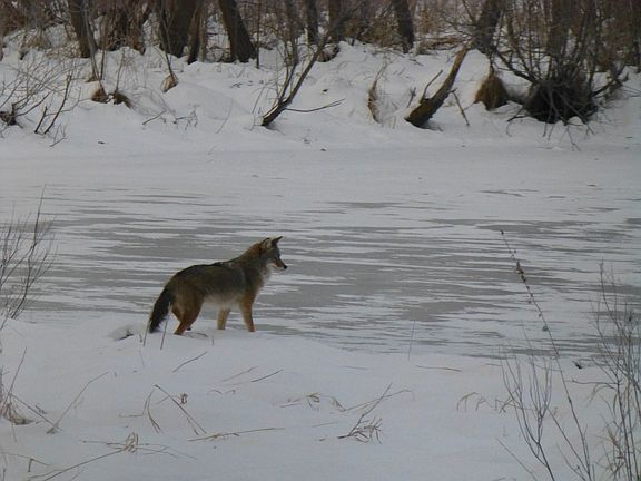 Photo taken from Master Bdrm