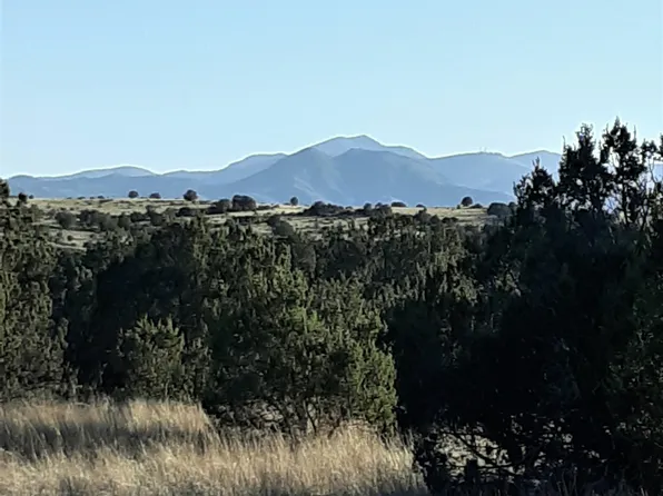 134 W Deer Trl, Capitan, NM 88316