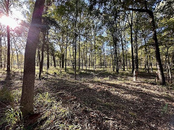 2nd image of N/a County Rd Lot 58-2938