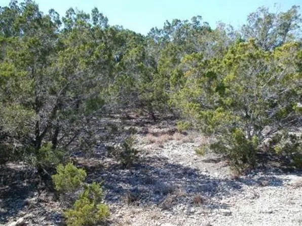 1650 Conestoga, Spring Branch, TX 78070