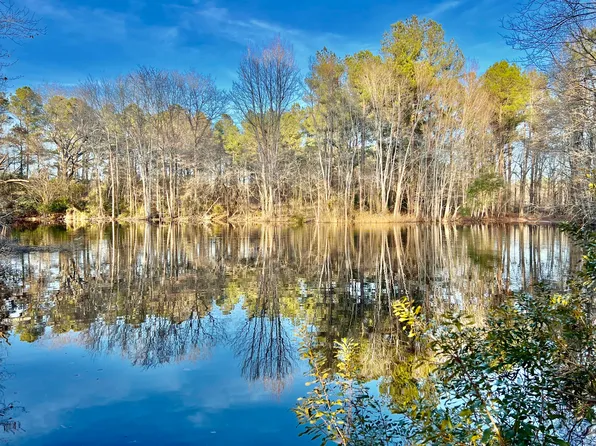 1530 Catfish Ln, Manning, SC 29102