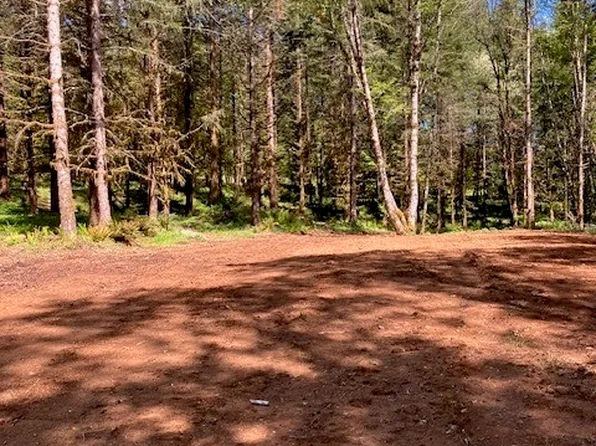 1216 S Military Road, Winlock, WA 98596