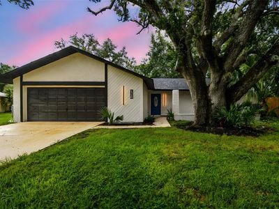 4260 Saint Lawrence Dr, New Port Richey, FL, 34655