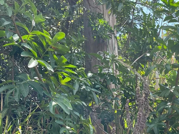 15 Lot #A, Ocean View, HI 96737