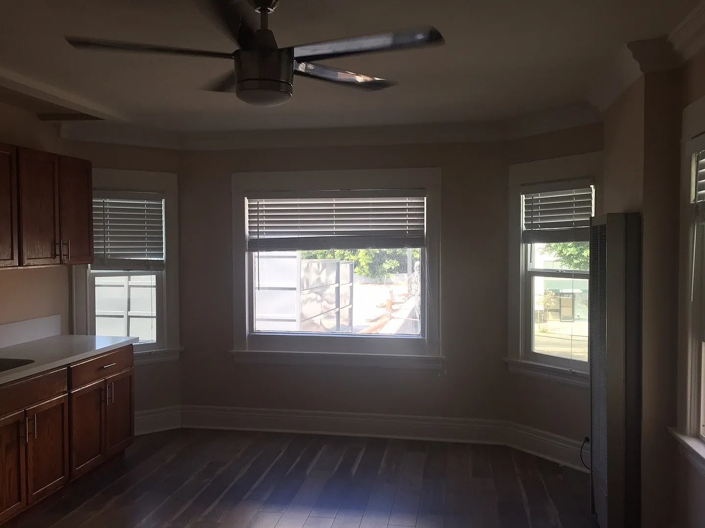 744 pine — Photo 4