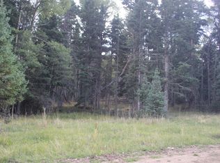 30 Shields Ave, Angel Fire, NM 87710