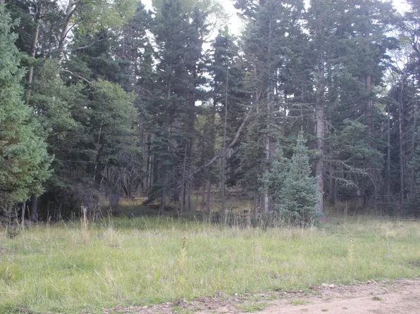 lot 30 Sheilds Ave, Black Lake, NM 87710-0000