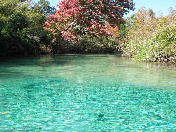 backstretchbackground