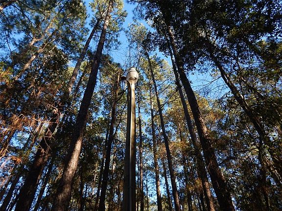 Light pole connected