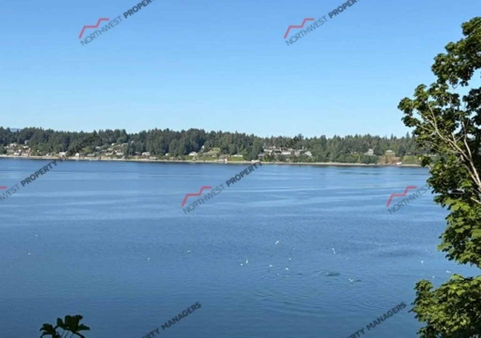 R89 | $2100/month -- Water/Sewer/Internet included! — Photo 1