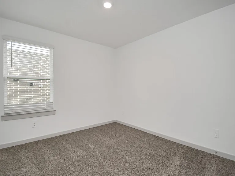 7803 Golden Rubia Ln — Photo 17