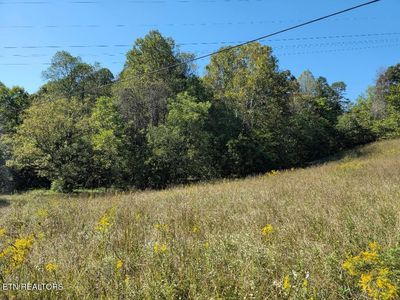 1872 Ferguson Ridge Rd, Tazewell, TN, 37879