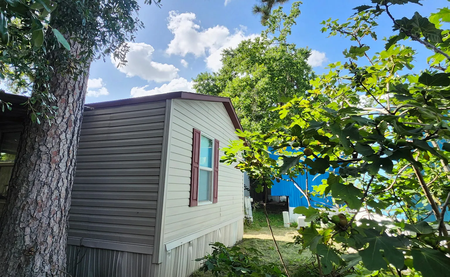 3 bed, 896 sqft, $1,550 — Photo 4
