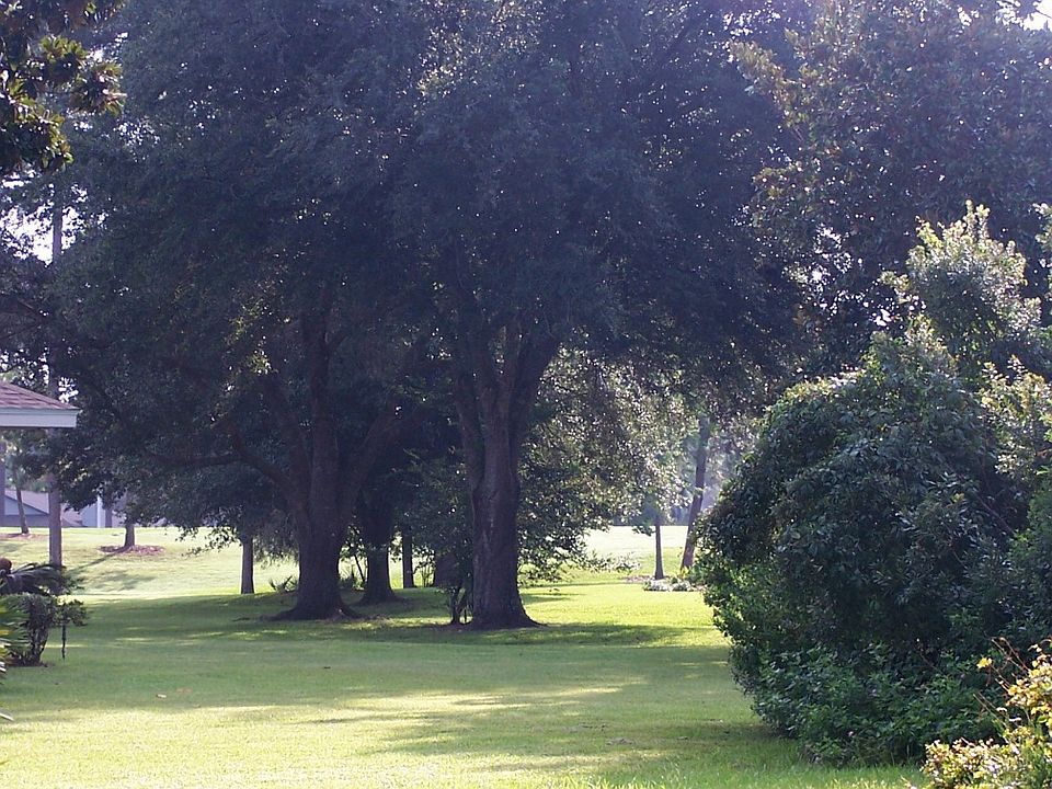 1st image of 5 Magnolia Ln