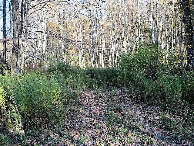 1st image of Balf Rd
