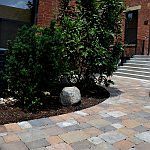 2nd image of 1641 Vine St #6441