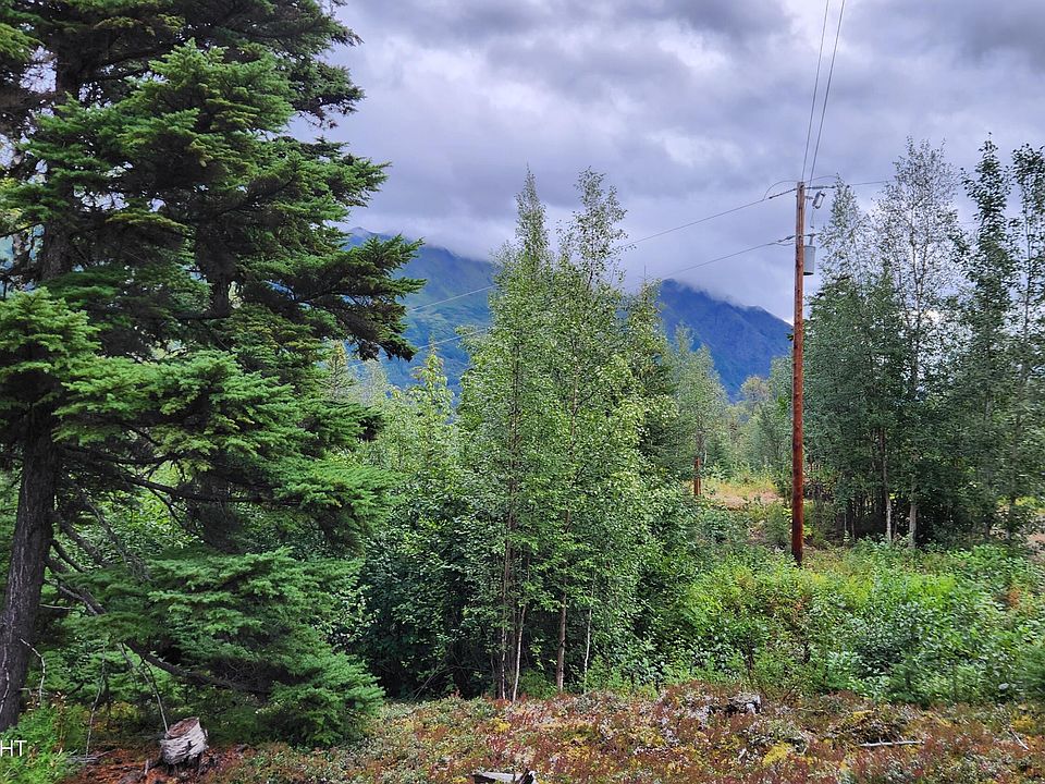 17215 Malemute Ct, Cooper Landing, AK 99572 MLS 239548 Zillow