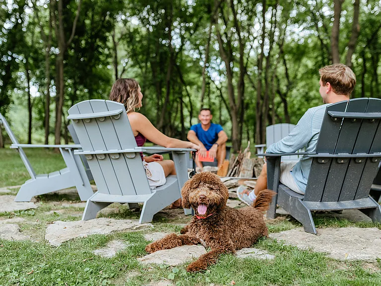 Pet-friendly amenities