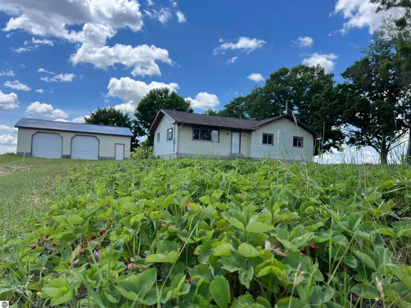 11499 W Fremont Rd, Blanchard, MI 49310