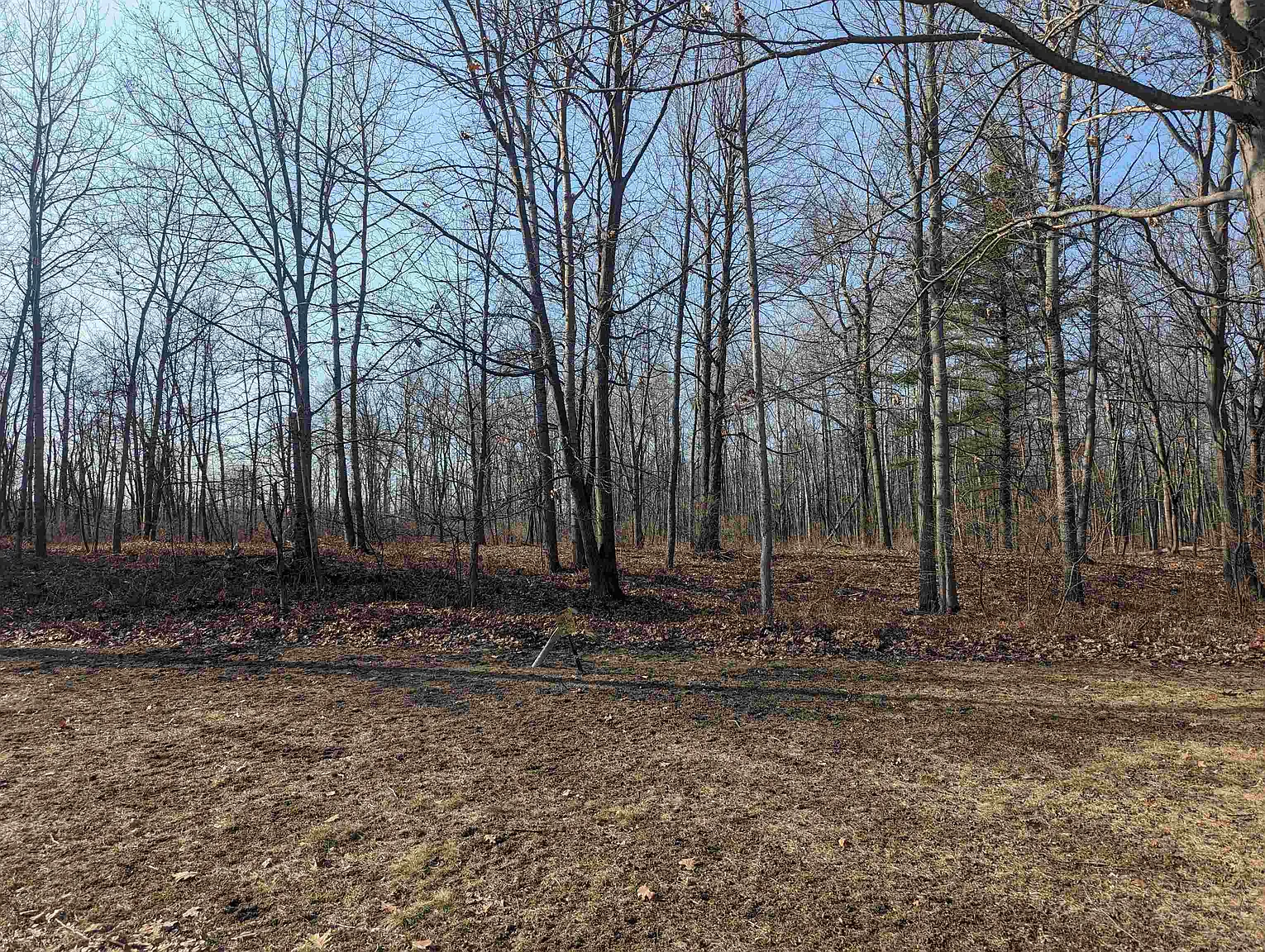 N/a Huron Woods photo 1