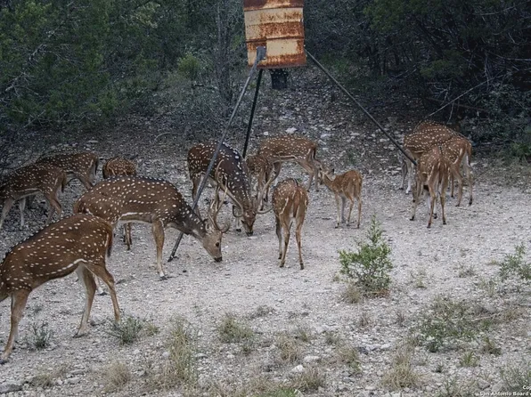 293 PRIVATE ROAD 2750, Uvalde, TX 78801