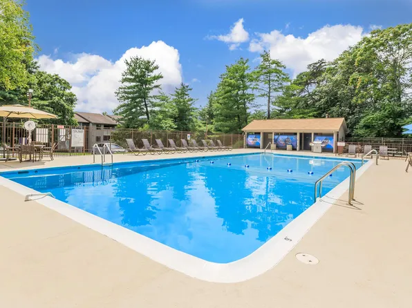 The Pines of Roanoke