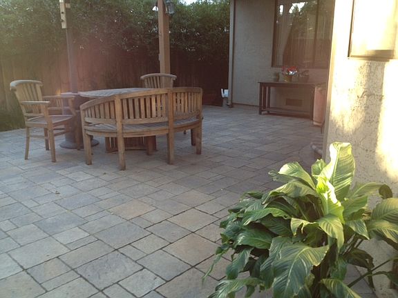 back yard 